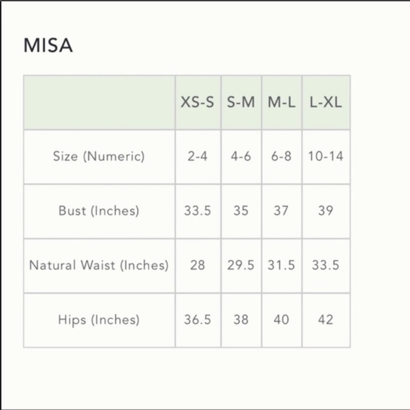 Misa Consuela Dress XS - Picture 16 of 16